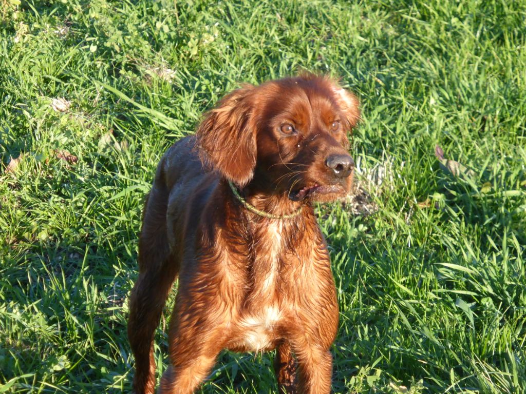 Paco De La Combe Des Anges