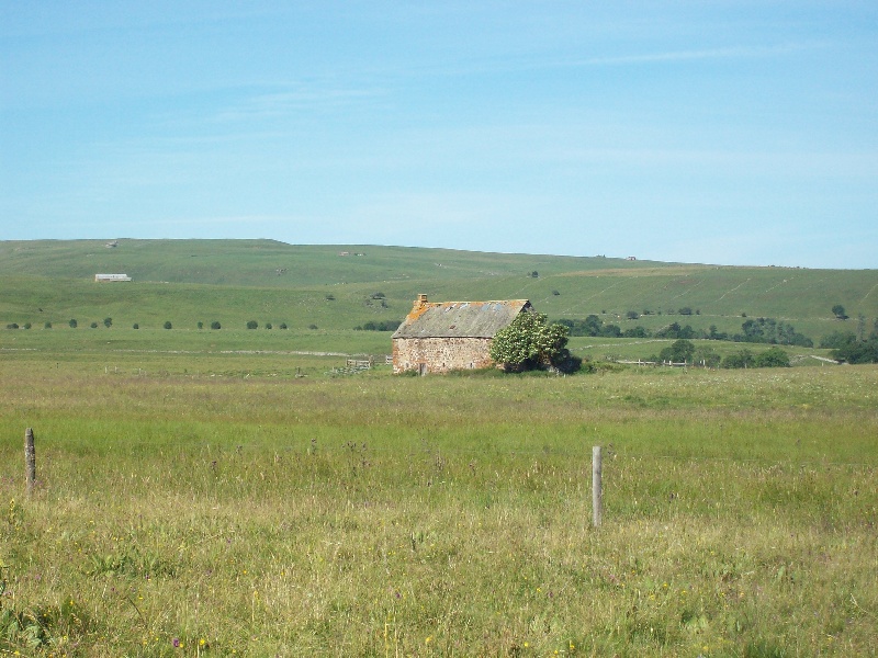 les hauts burons
